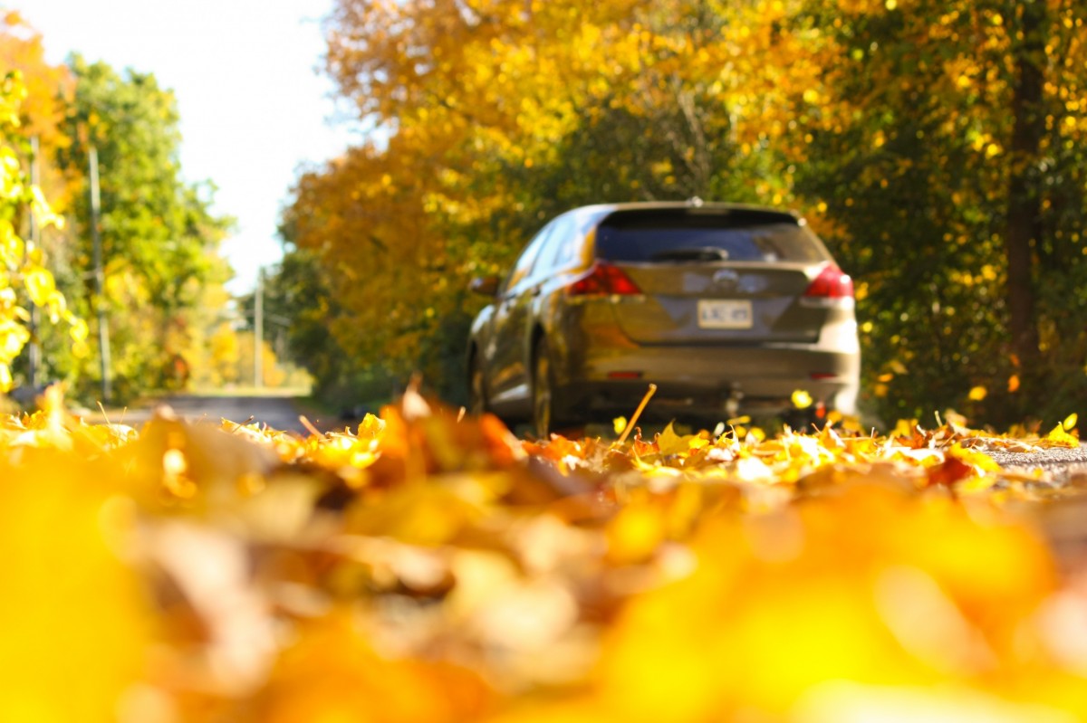 vehicle in fall leaves 